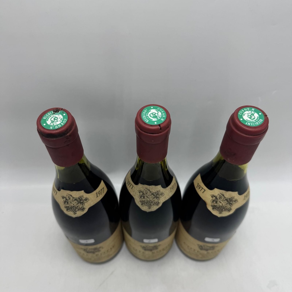 WineRL photo 3