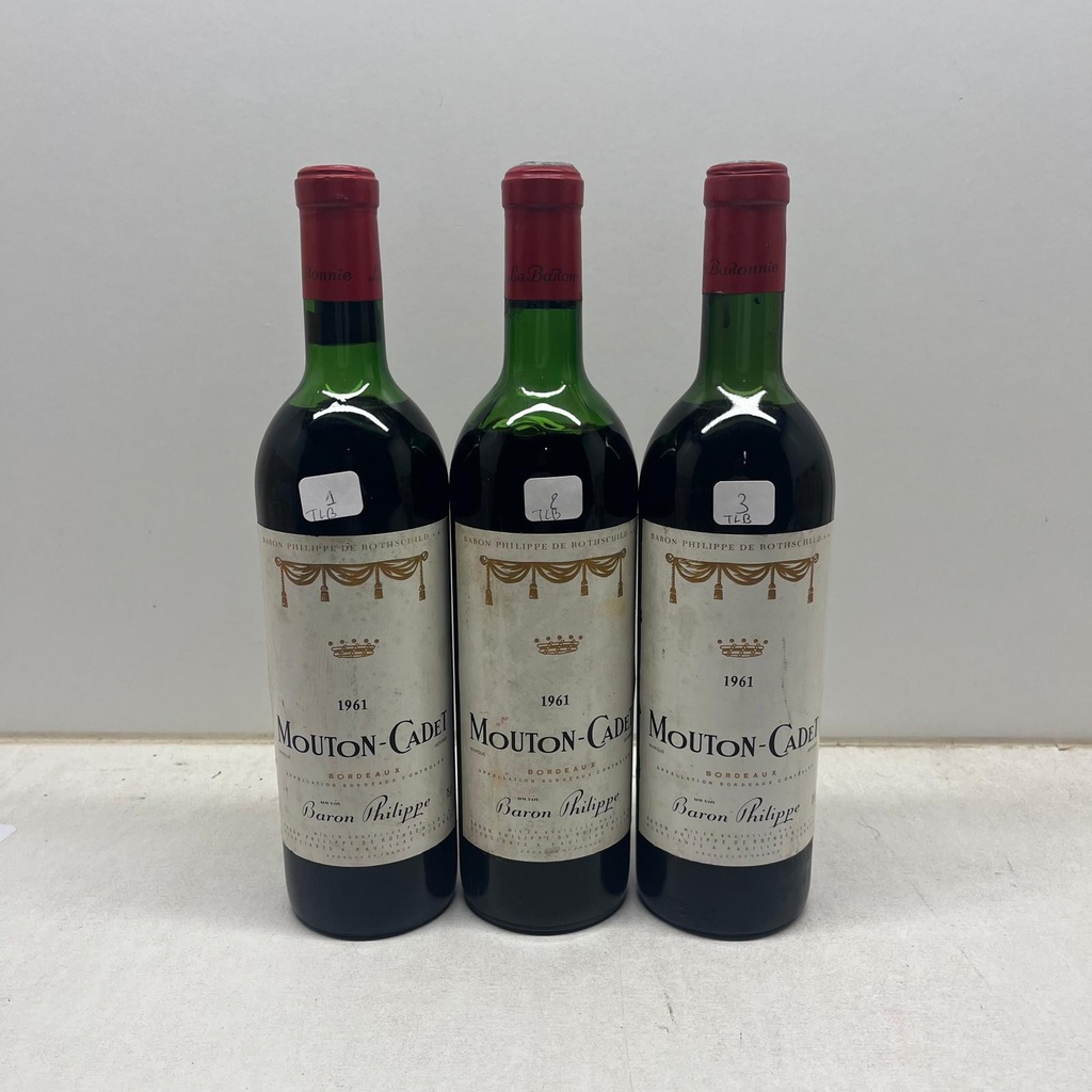 WineRL photo 2