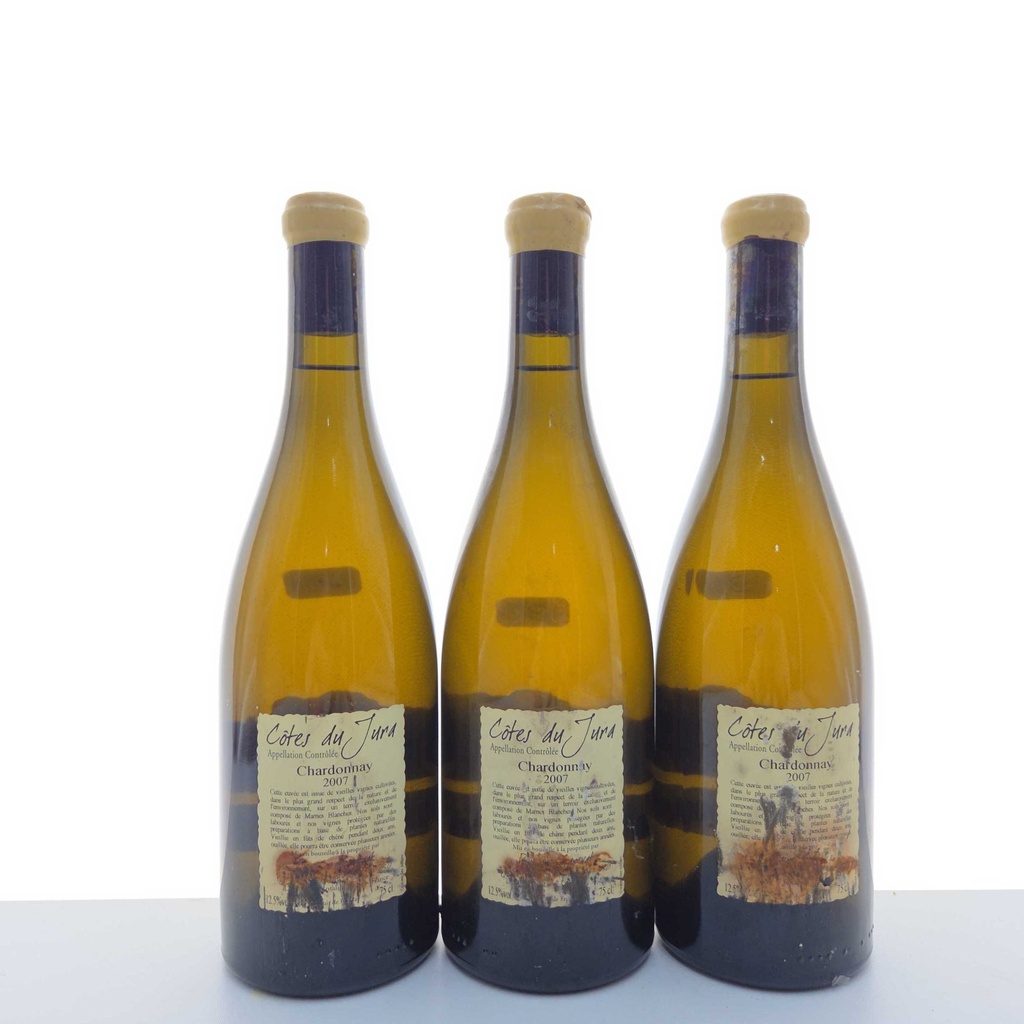 WineRL photo 3