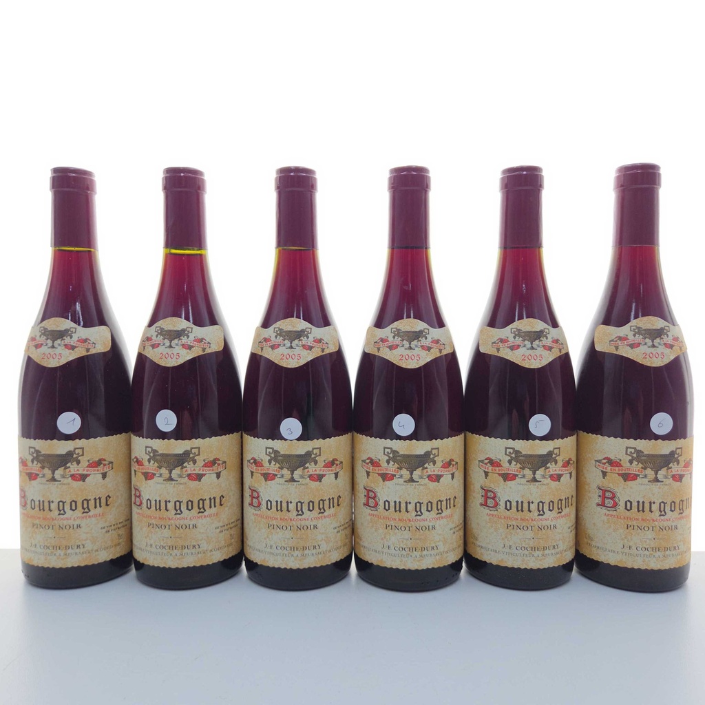 WineRL photo 3