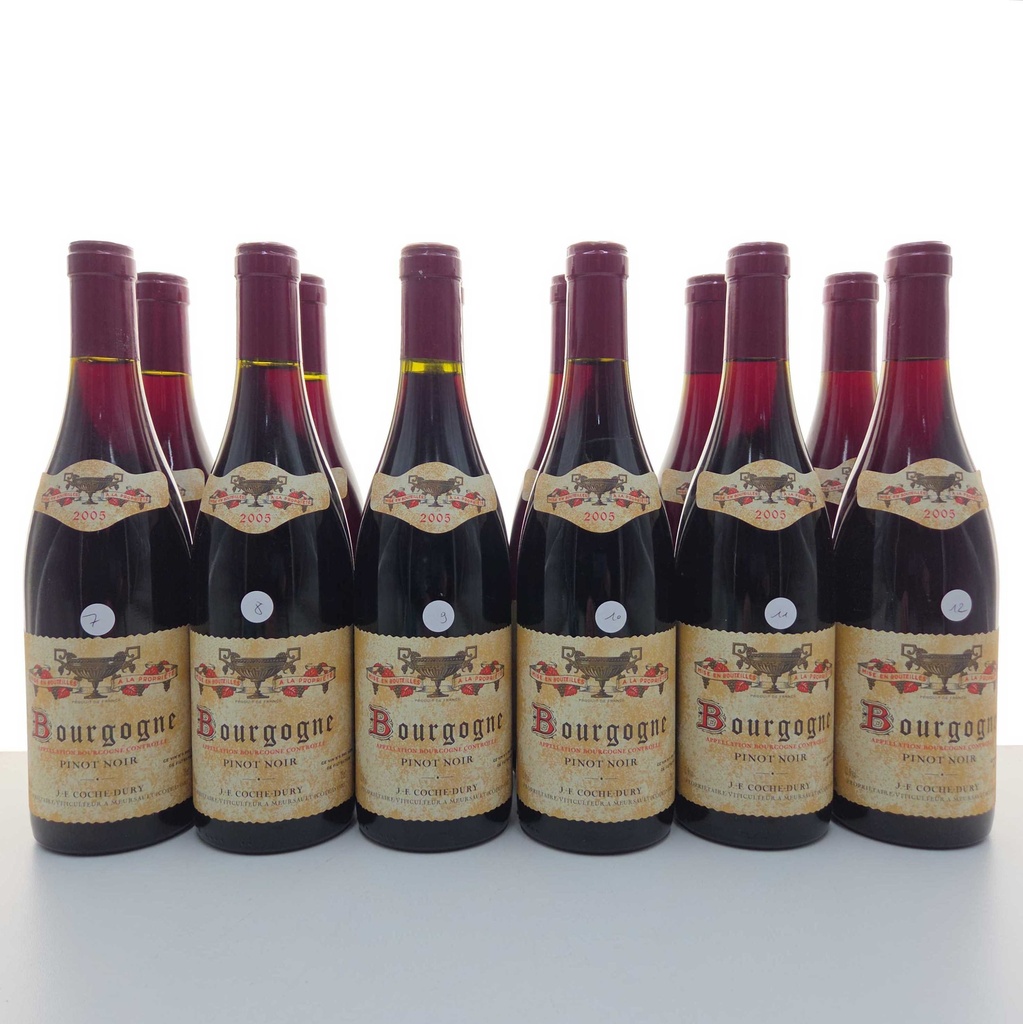 WineRL photo 4