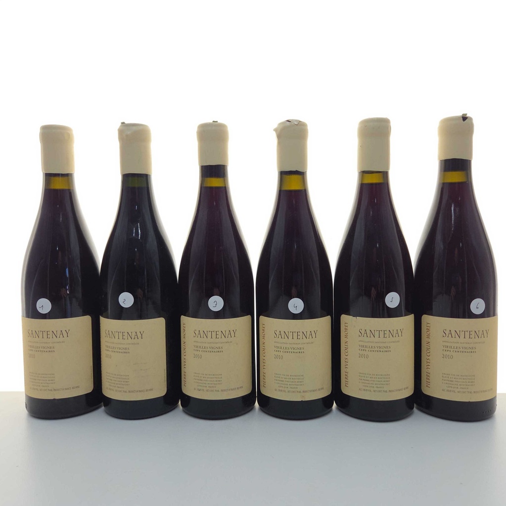WineRL photo 2