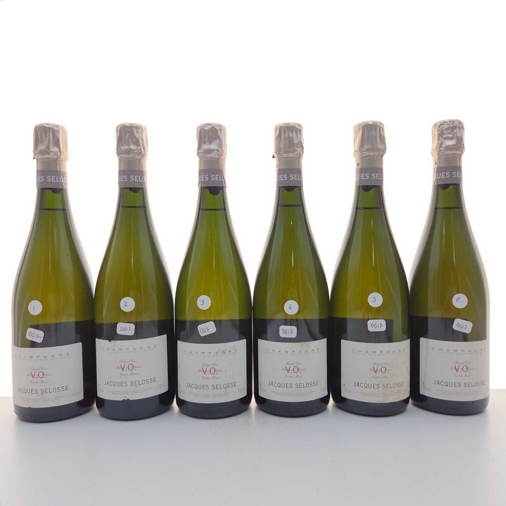 WineRL photo 2
