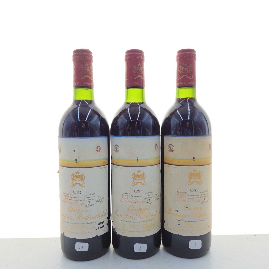 WineRL photo 2
