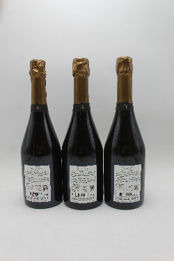 WineRL photo 3