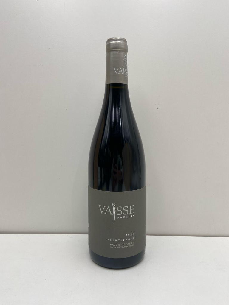 WineRL photo 3