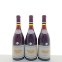WineRL photo 2