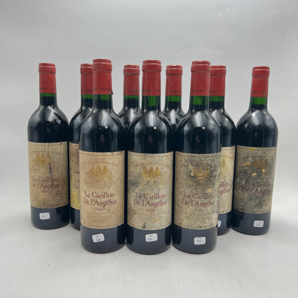 WineRL photo 3