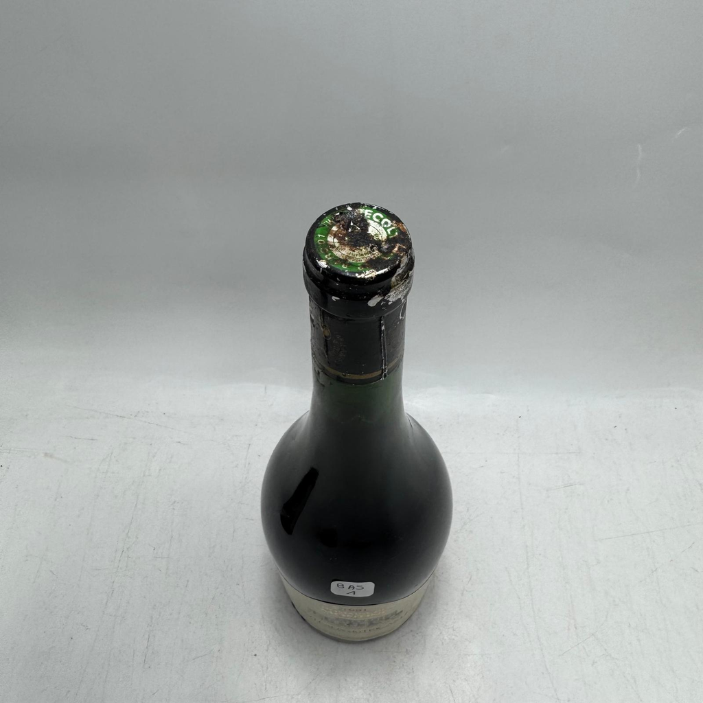 WineRL photo 2