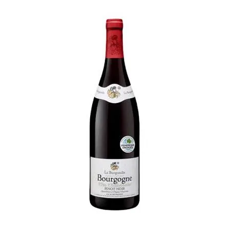La Burgondie Bourgogne Pinot Noir 2023 75 CL