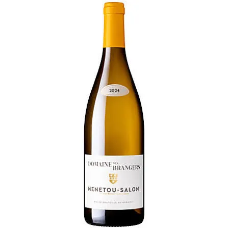 Menetou Salon Blanc Aop Dom Des Brangers 2024