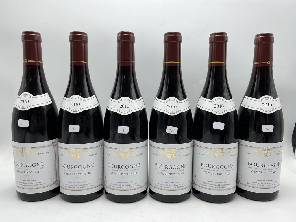Marc Pinto Bourgogne Pinot Noir 2010