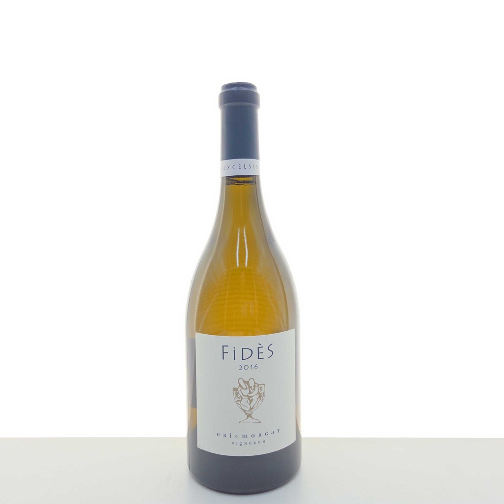 Fidès Eric Morgat 2016