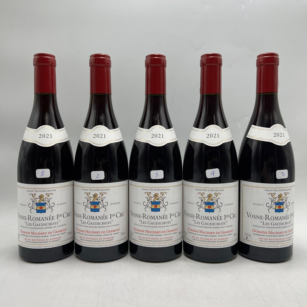 Domaine Machard de Gramont Les Gaudichots 2021
