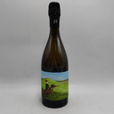 Romain Henin Le Gamin du Terroir Brut Nature DG 2021
