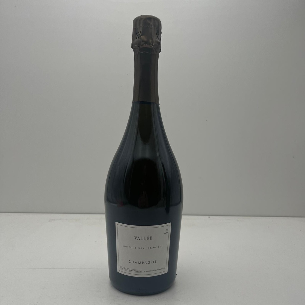 Domaine Les Monts Fournois 'Vallée' Ay Grand Cru Extra Brut Millésime 2014