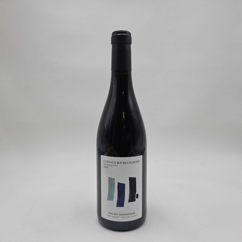 Vincent Paindavoine Coteaux Bourguignons Les Paquiers 2023