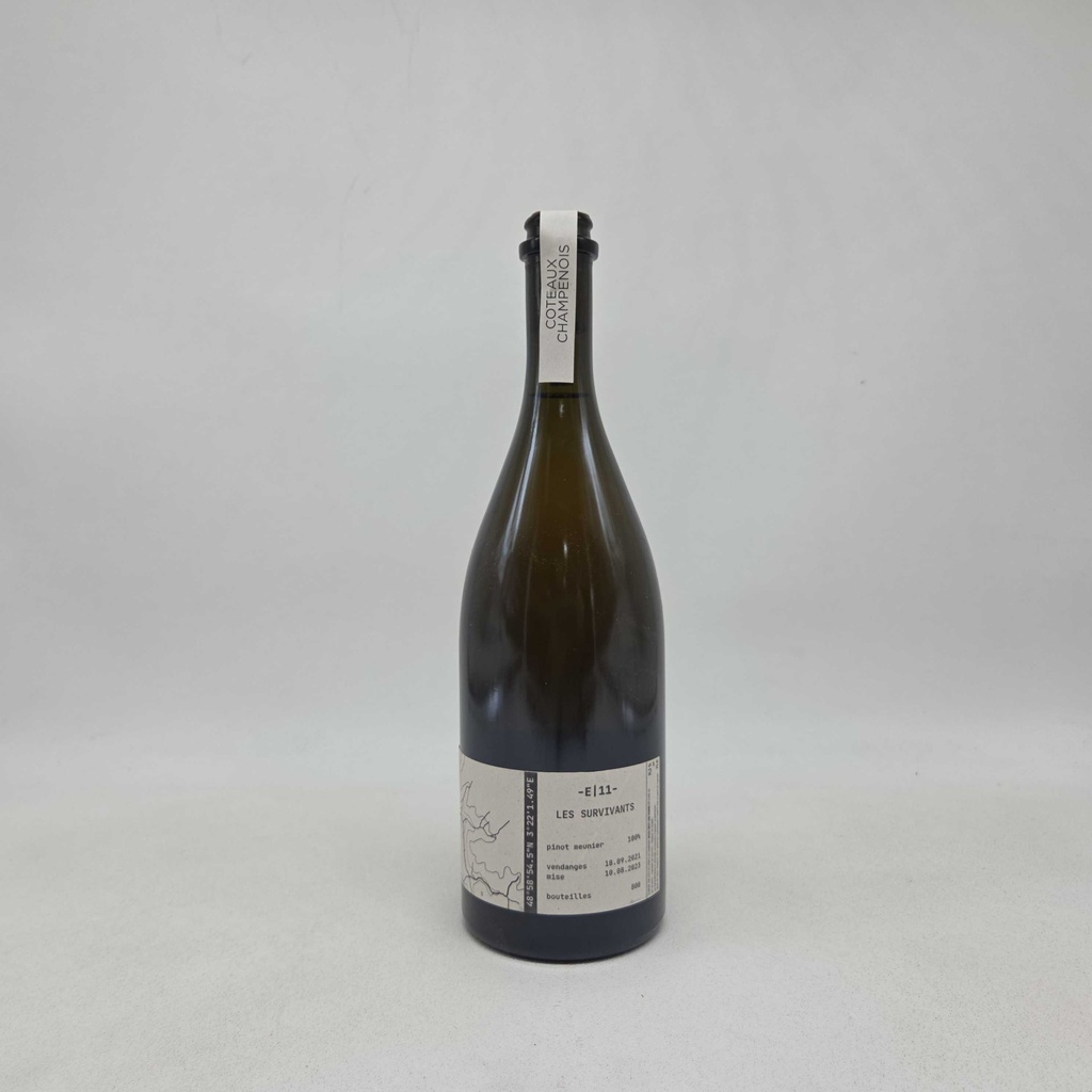 Coteaux Champenois Les Survivants E11 Domaine Tom Gauditiabois DG 2024