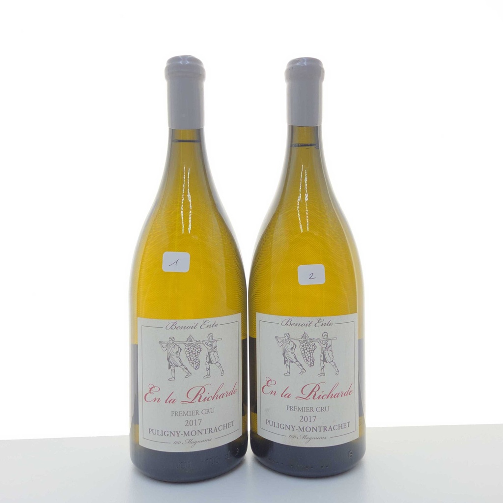 En La Richarde Domaine Ente Benoit 2017 150cl