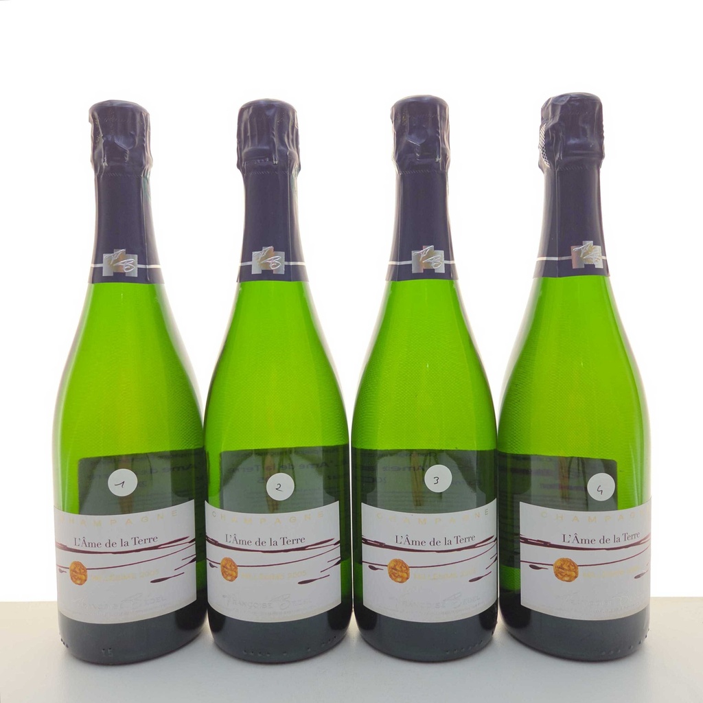 L'Ame de la Terre Extra Brut Françoise Bedel 2005