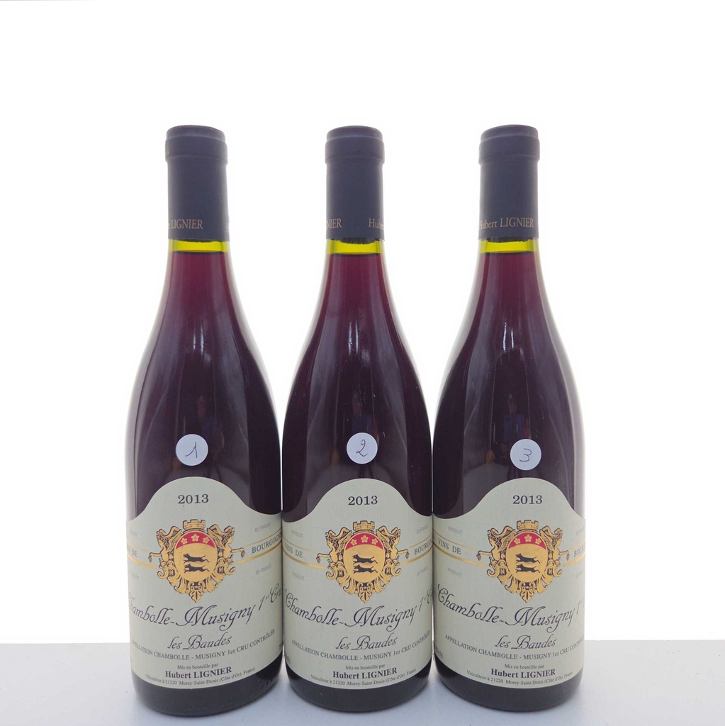 Les Baudes Hubert Lignier 2013