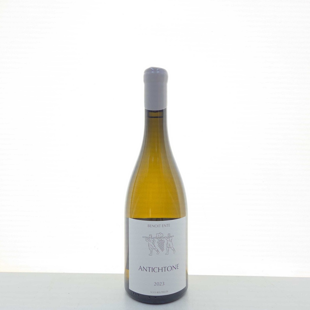 Bourgogne Aligoté Antichtone Domaine Ente Benoit 2023