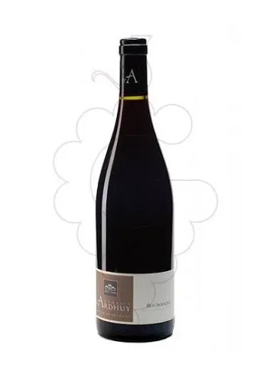 Pinot Noir - Bourgogne - Domaine d'Ardhuy -  2021