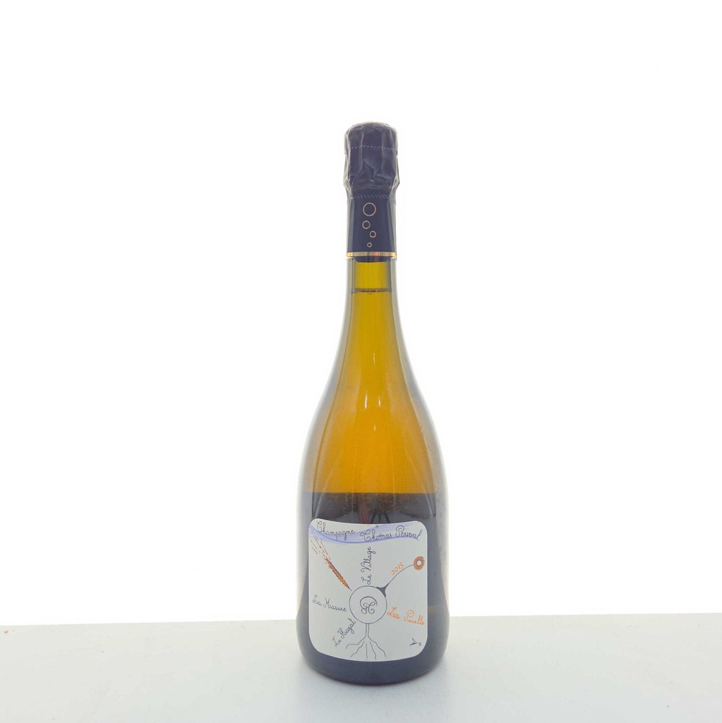 Chamery lieu dit "la Pucelle" Thomas Perseval 2015