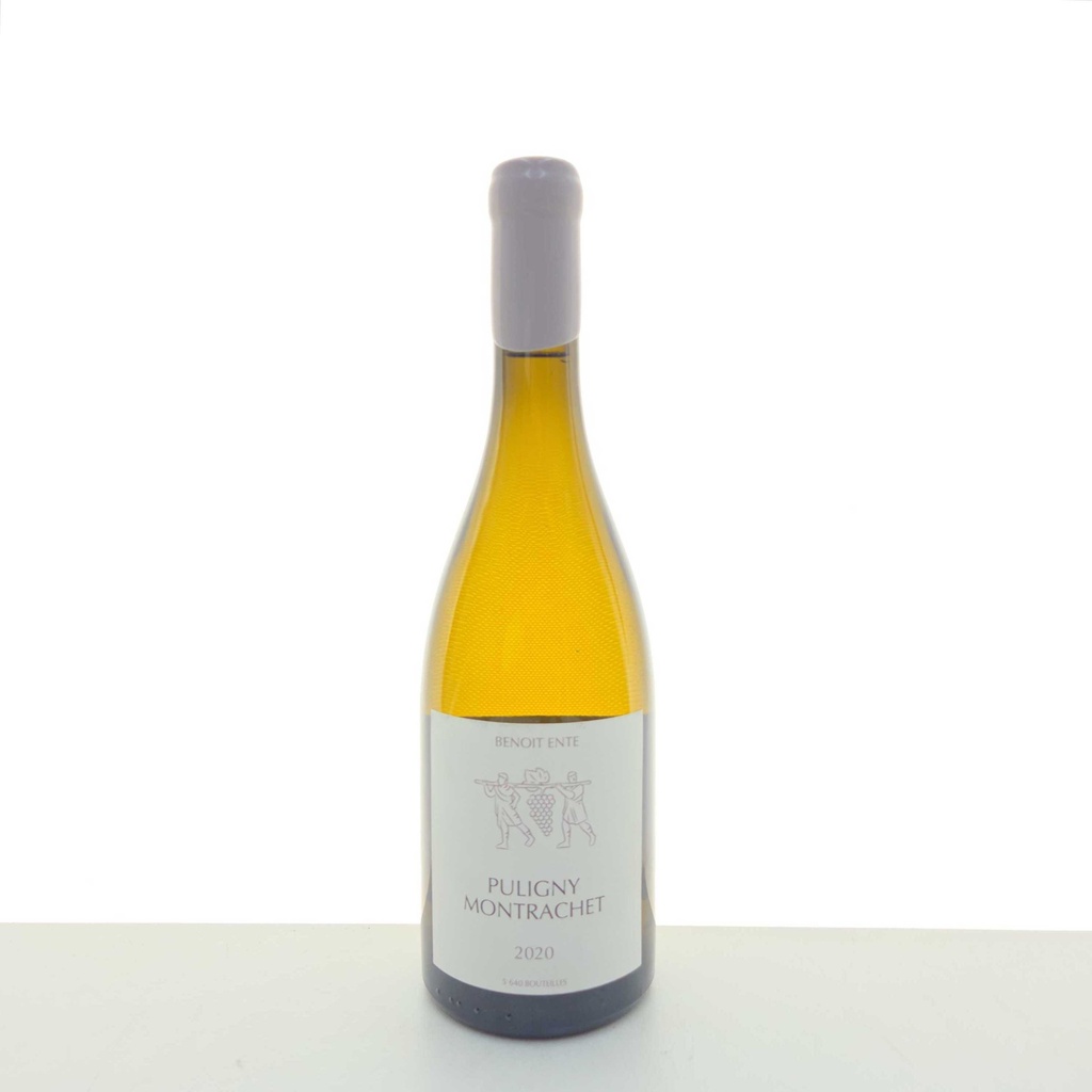 Puligny-Montrachet Domaine Ente Benoit 2020